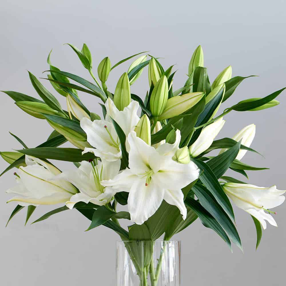 Cắm hoa ly là một nghệ thuật đẹp và tinh tế. Với công thức phoi hoa phong phú và khéo léo, bạn có thể tạo ra một bó hoa đầy sắc màu và độc đáo để tặng cho người thân hoặc bạn bè. Hãy xem hình ảnh để lấy ý tưởng cho một bó hoa ly tuyệt vời.